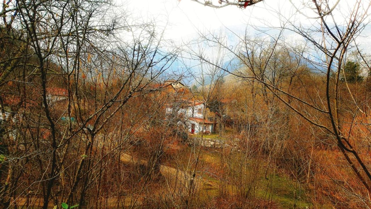 Hotel Rural La Tahona De Besnes Arenas De Cabrales Esterno foto